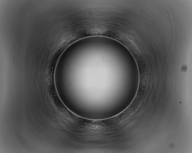 X0000098180743200804241221
