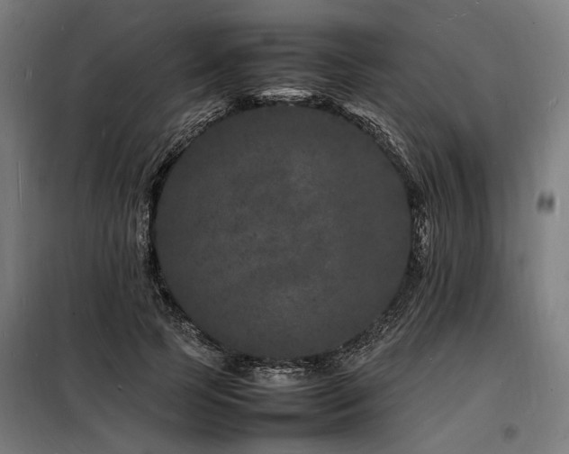 X0000098180745200804241221