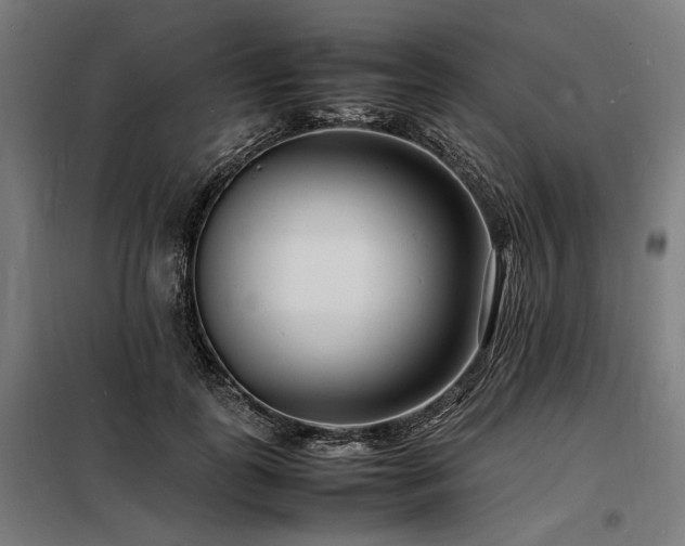 X0000098180747200804241221