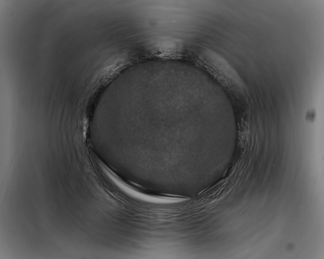 X0000098180748200804241221