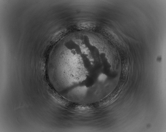 X0000098180749200804241221