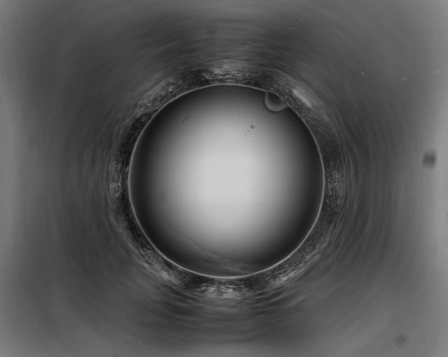 X0000098180751200804241221
