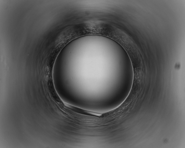 X0000098180752200804241221