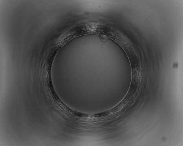 X0000098180754200804241221