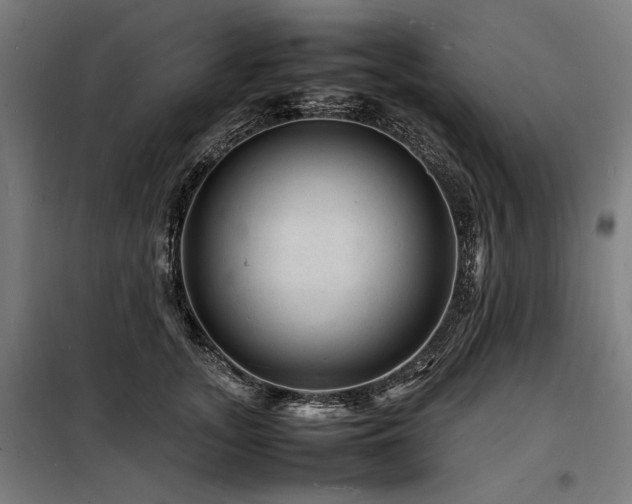 X0000098180755200804241221