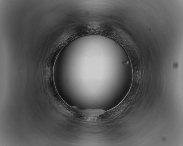 X0000098180756200804241221