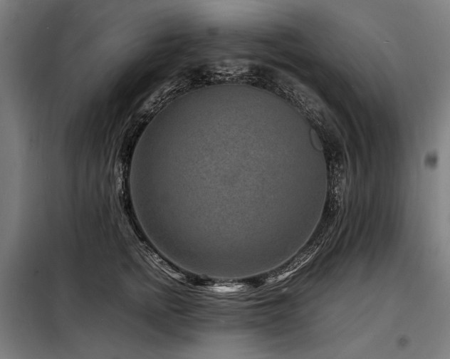 X0000098180758200804241221
