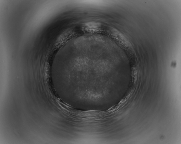 X0000098180760200804241221