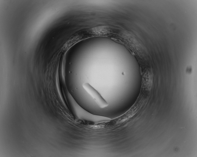 X0000098180762200804241221