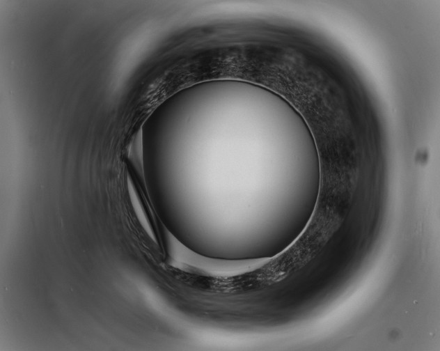 X0000098180766200804241221