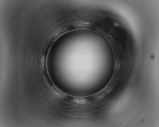 X0000098180767200804241221