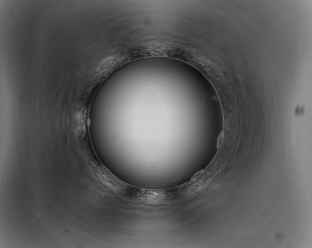 X0000098180768200804241221