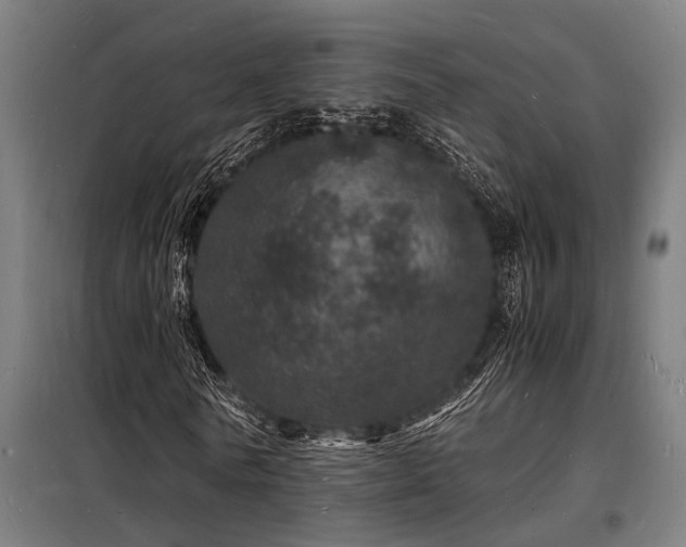 X0000098180770200804241221