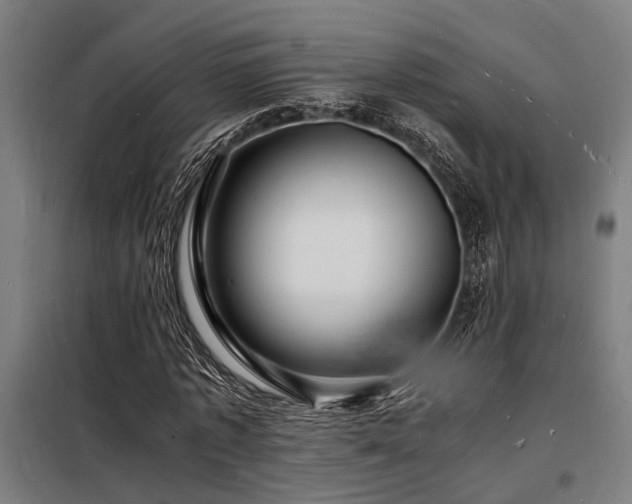 X0000098180773200804241221