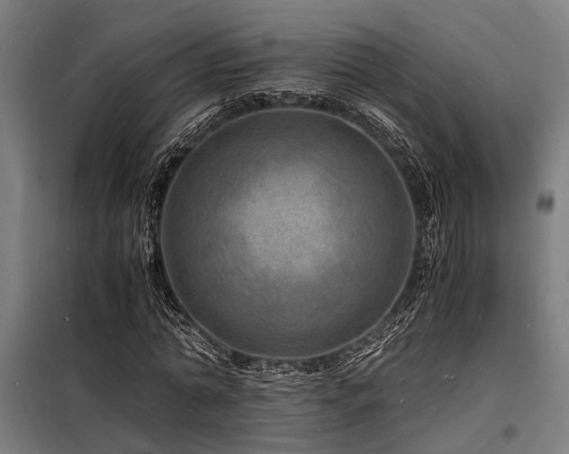 X0000098180774200804241221