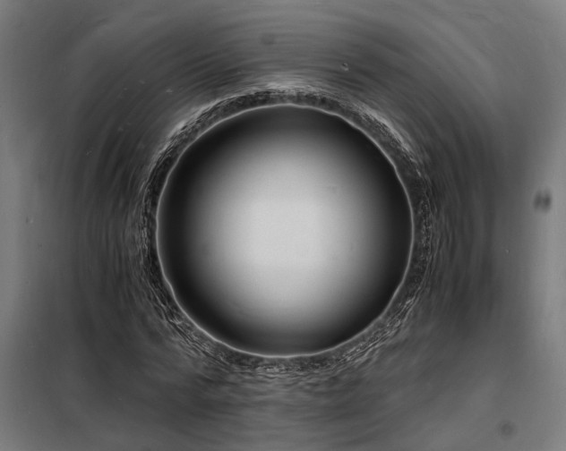 X0000098180776200804241221