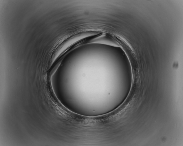 X0000098180777200804241221