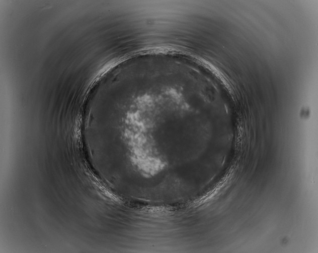 X0000098180778200804241221