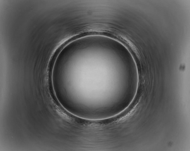 X0000098180779200804241221