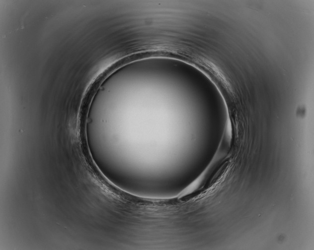 X0000098180780200804241220