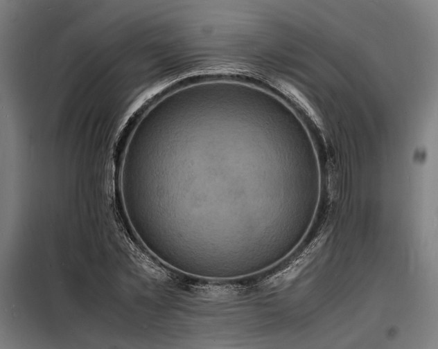 X0000098180781200804241220