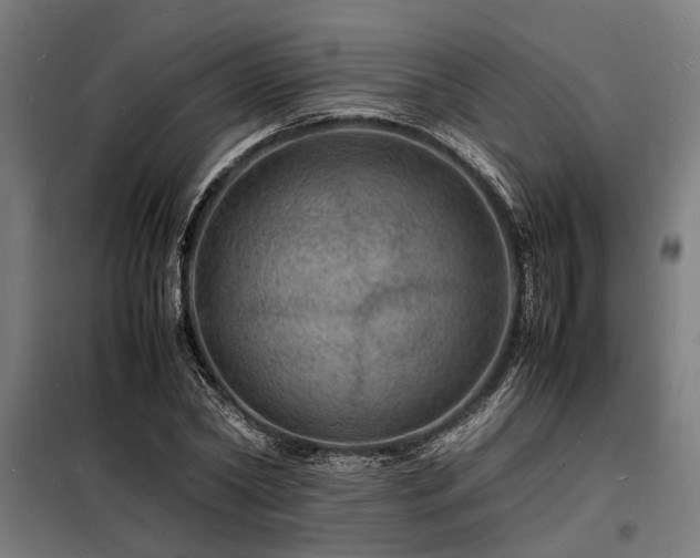 X0000098180782200804241220