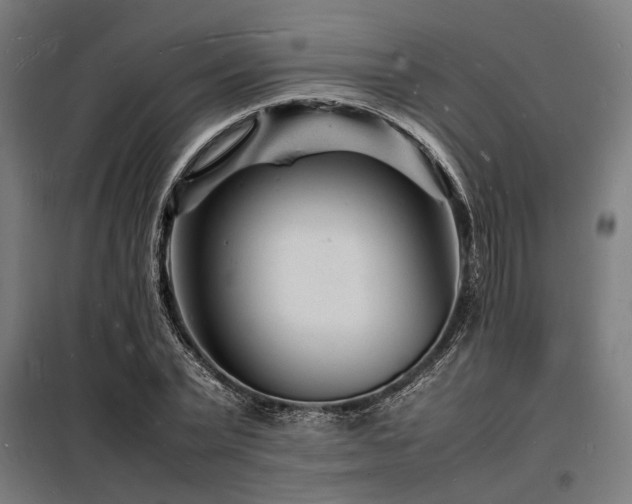 X0000098180783200804241220