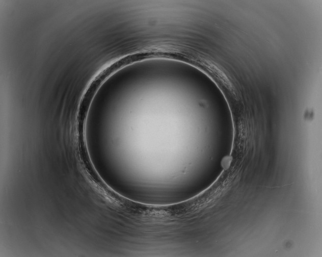 X0000098180784200804241220