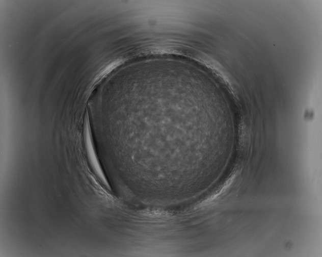 X0000098180785200804241220