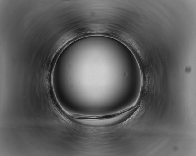 X0000098180786200804241220