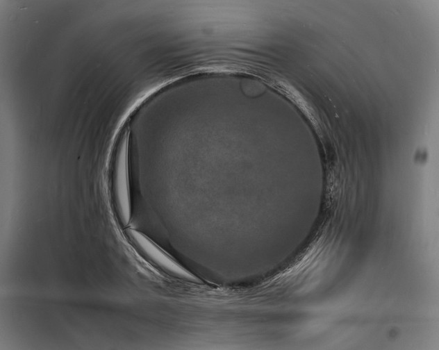 X0000098180787200804241220