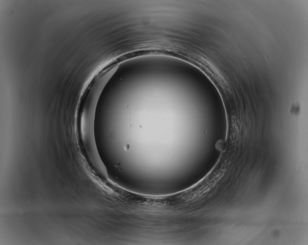 X0000098180788200804241220