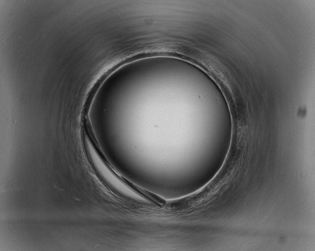X0000098180789200804241220