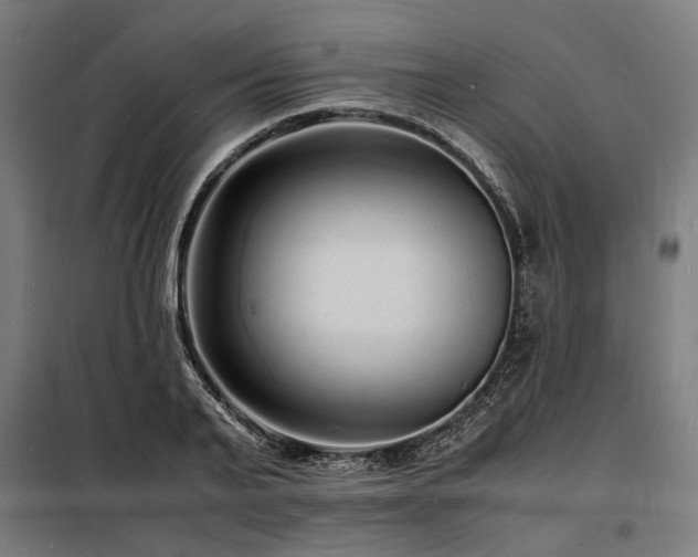 X0000098180791200804241220