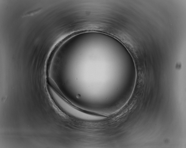 X0000098180792200804241220