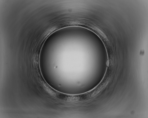 X0000098180793200804241220