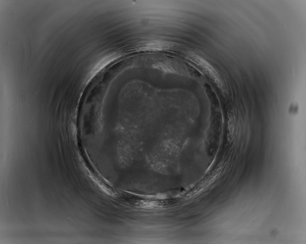X0000098180794200804241220