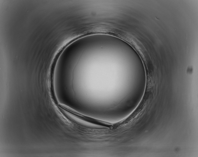 X0000098180795200804241220
