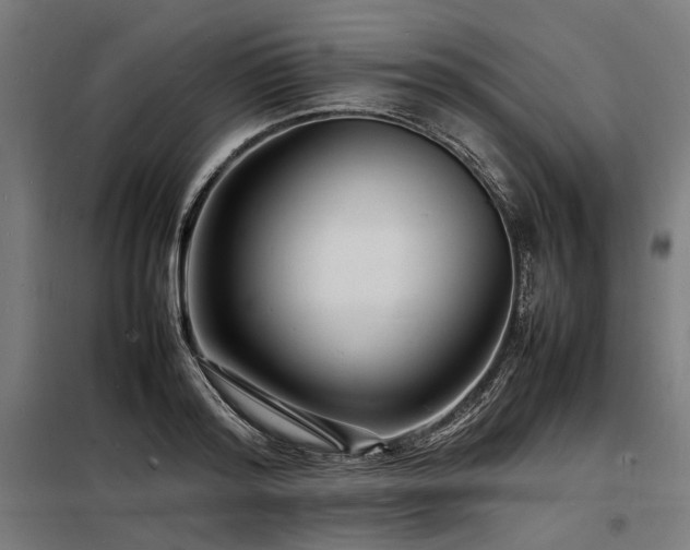 X0000098180796200804241220