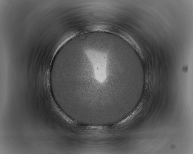X0000098180798200804241220