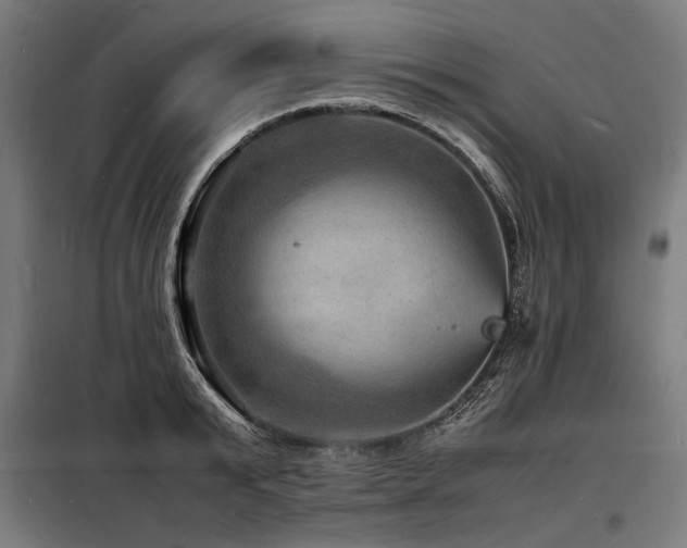 X0000098180799200804241220