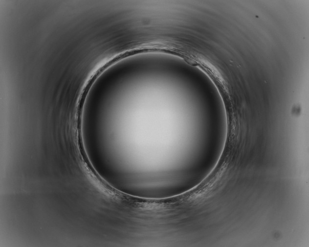 X0000098180800200804241220