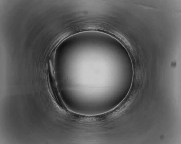 X0000098180801200804241220