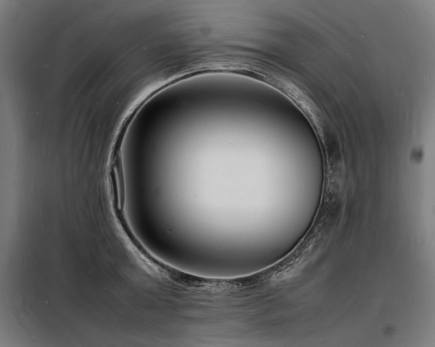 X0000098180803200804241220