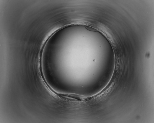 X0000098180804200804241220