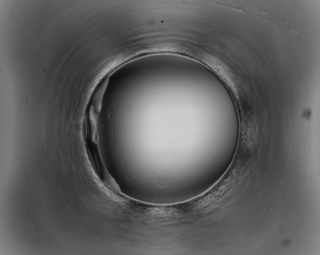 X0000098180805200804241220