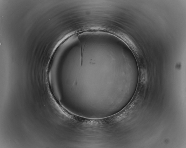X0000098180806200804241220