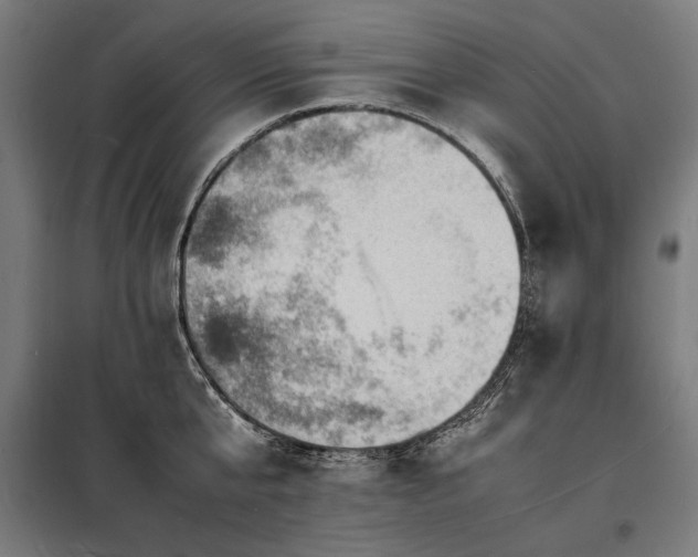 X0000098180807200804241220
