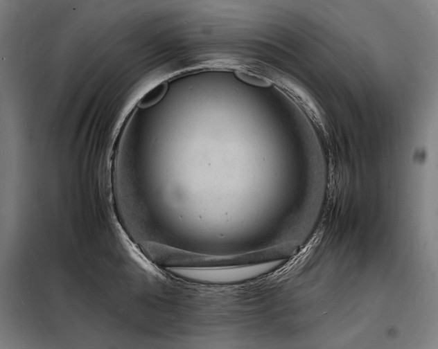 X0000098180808200804241220
