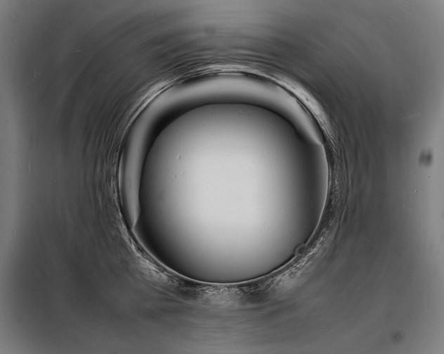 X0000098180809200804241220